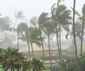 Hurricane Season Outlook 2026