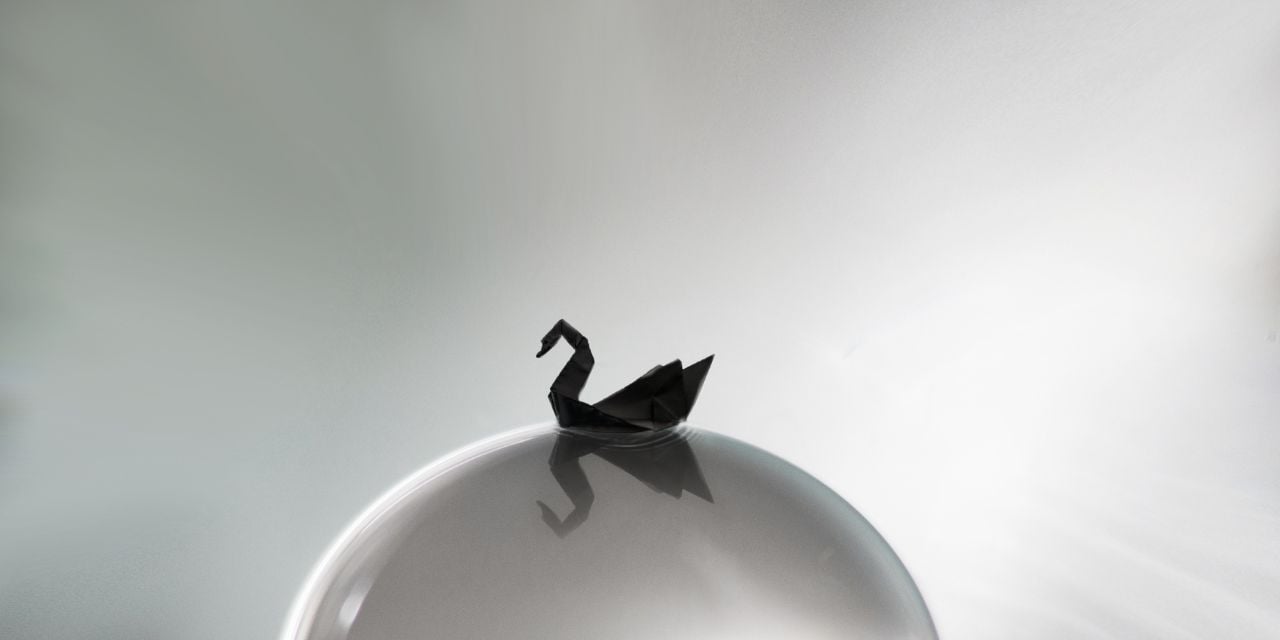 A swan on the ball