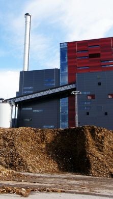 Biomass power plant