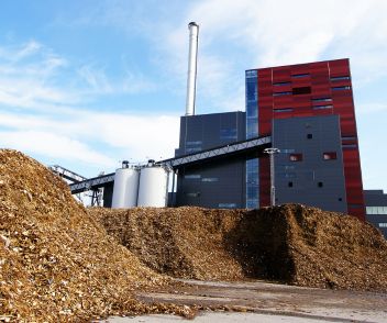 Biomass power plant
