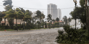 Image of strong tropical  winds 