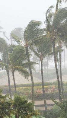 Image of the Atlantic hurricane