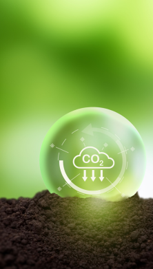 Image of a Carbon Dioxide molecule 