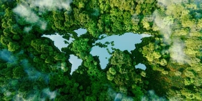 Ai ariel image of a forest cover depicting the continents on the globe 