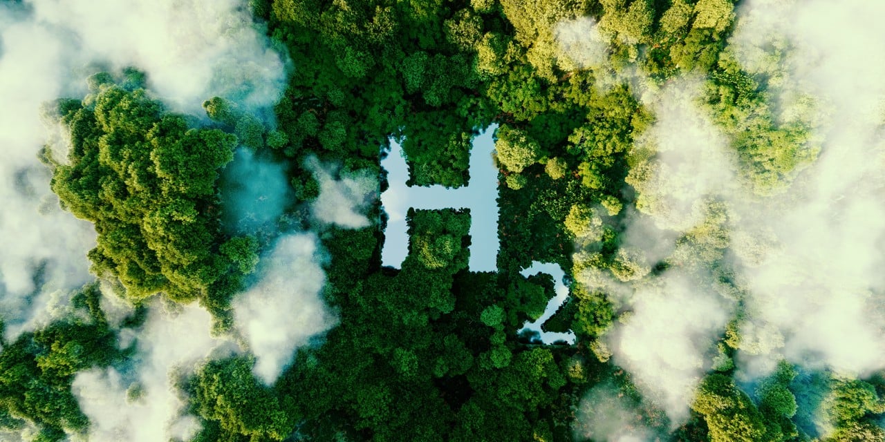 Ariel view of a forest cover 