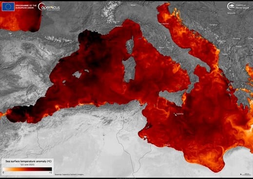 Mediterranean Sea surface temperature (SST) anomalies on June 22, 2025. 