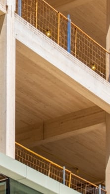 Read the Mass timber report