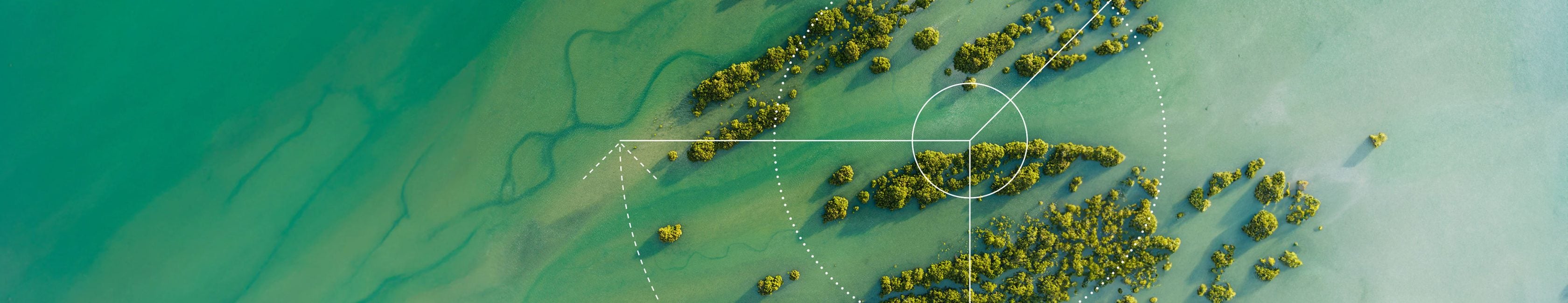 Earth from above: eutrophic green sea, with islands in between